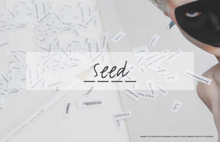 ceft-naming-seed-agency
