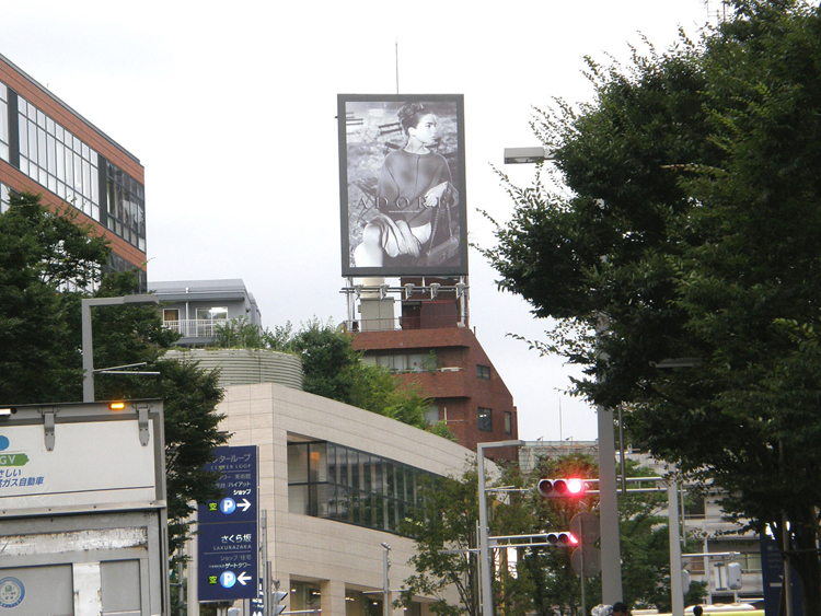 ceft-and-company-ny-agency-adore-fashion-advertising-ali-michael-glen-lutchford-09 width=