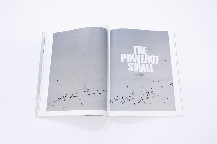 the-power-of-small-soma1